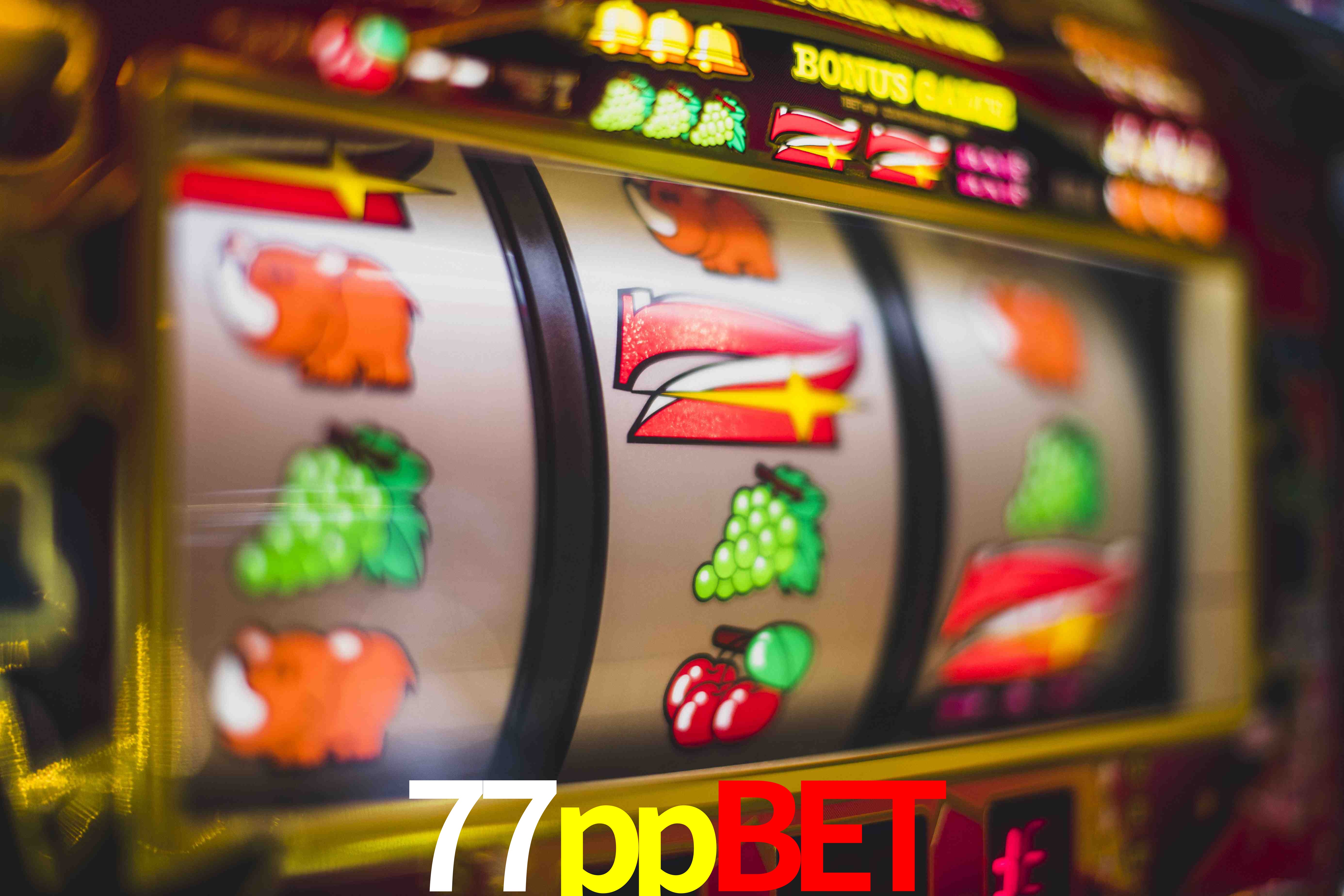 Statistics 77ppbet